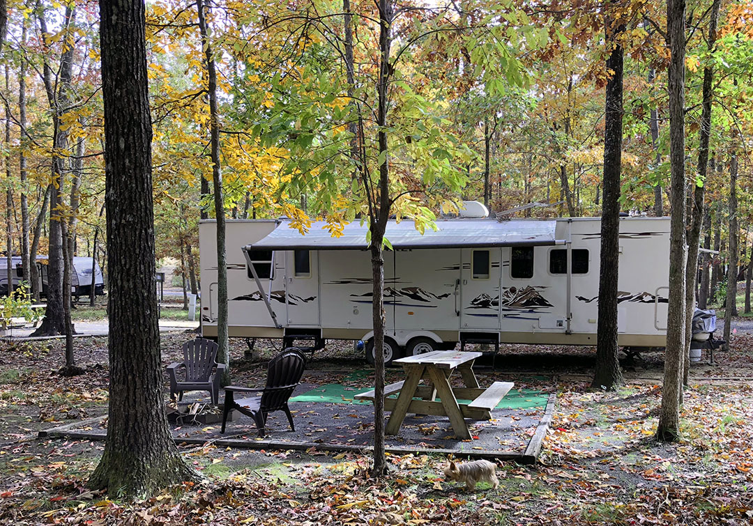 Tranquility RV & Campground